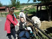 Výlet k lamám a do moto muzea