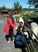 Výlet k lamám a do moto muzea